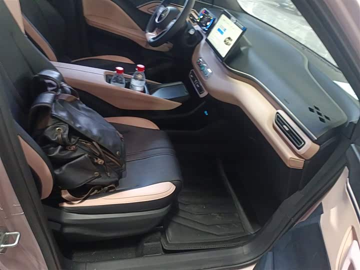 Фото 4 - BYD Seagull