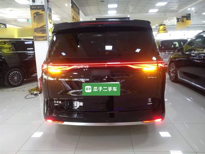 Фото 6 - BYD Xia