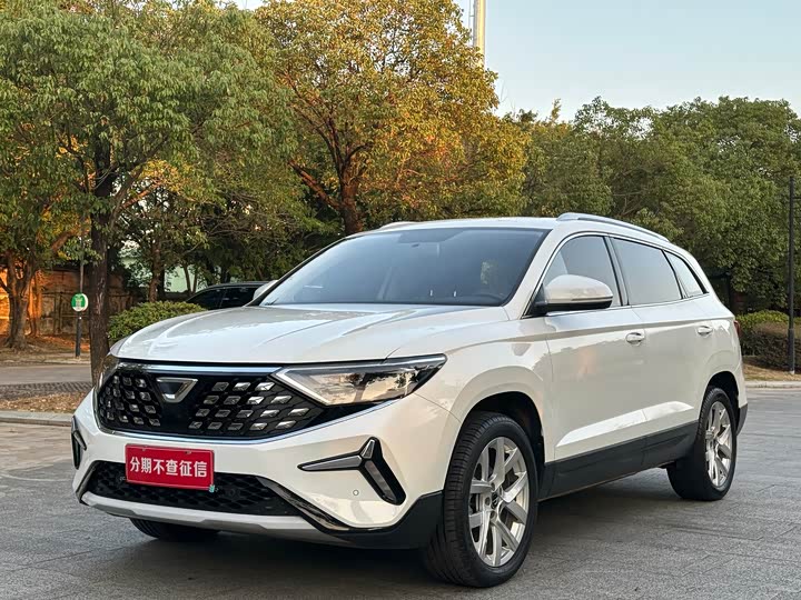 Фото 1 - Jetta VS7