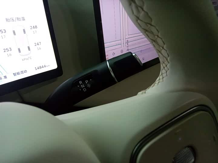 Фото 14 - Wey Lanshan