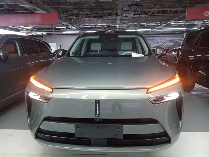 Фото 3 - Wey Lanshan