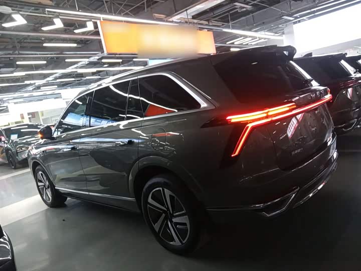 Фото 5 - Wey Lanshan