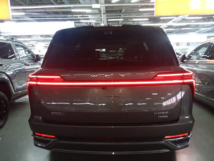 Фото 6 - Wey Lanshan