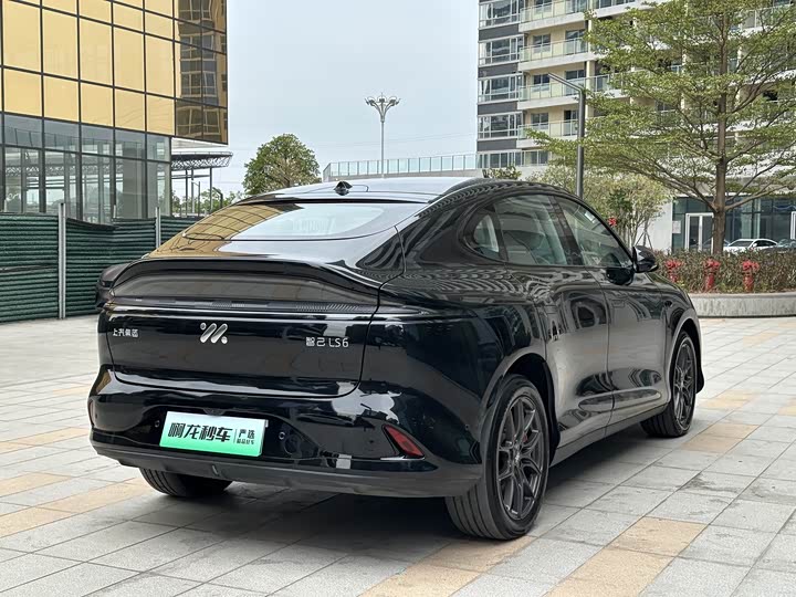 Фото 5 - IM motors LS6