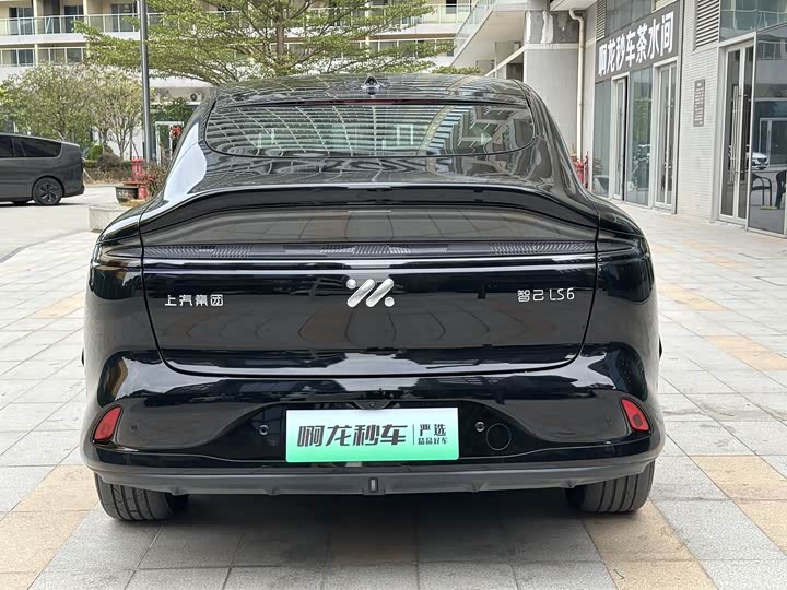 Фото 6 - IM motors LS6