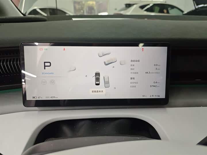 Фото 4 - XPeng X9