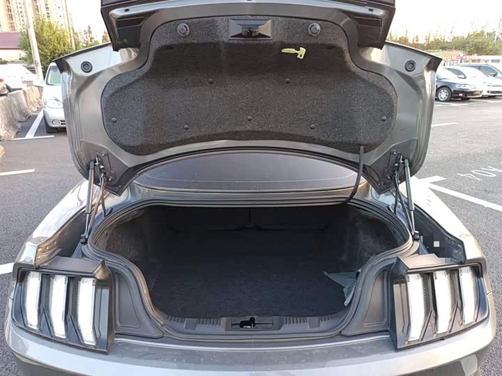 Фото 9 - Ford Mustang