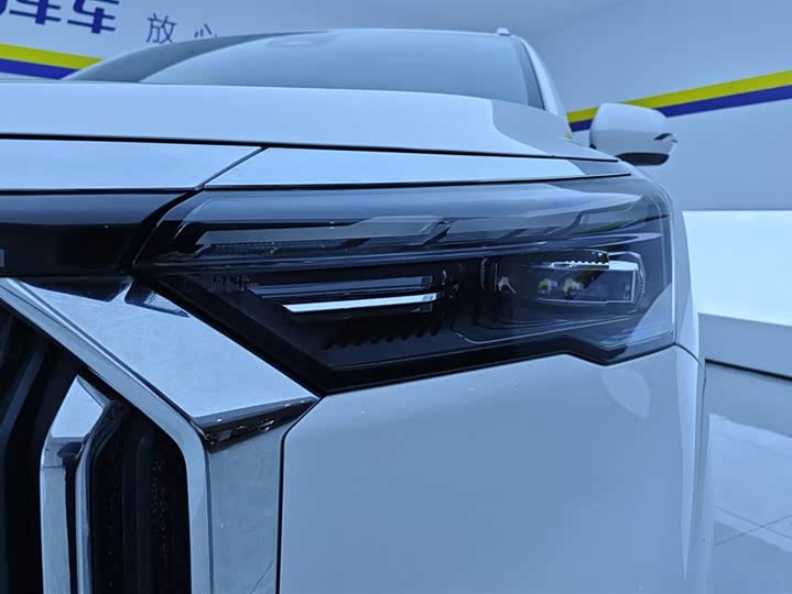 Фото 5 - Geely Okavango L