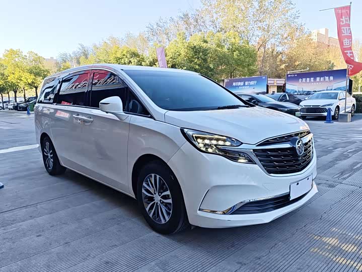 Фото 3 - Buick GL8 ES