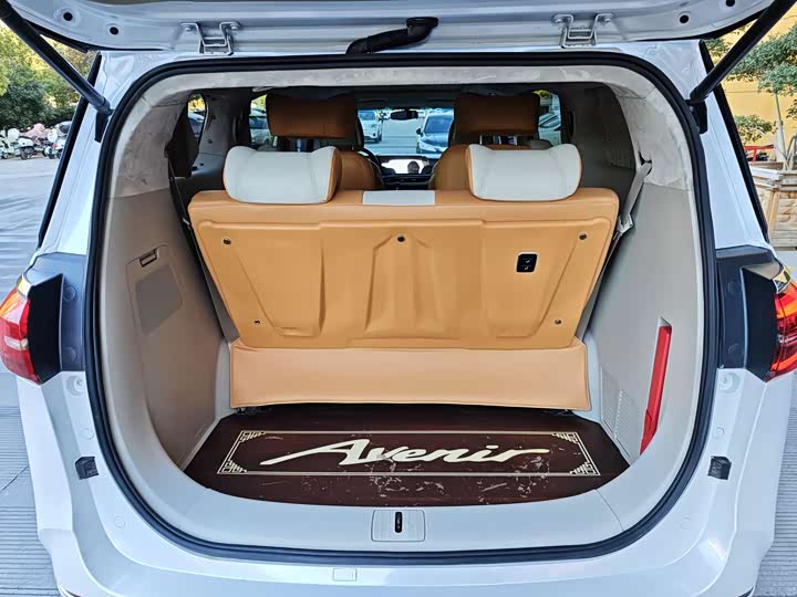 Фото 9 - Buick GL8 ES