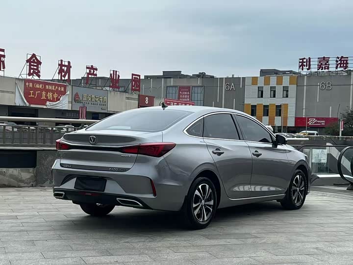 Фото 4 - Changan Eado Plus