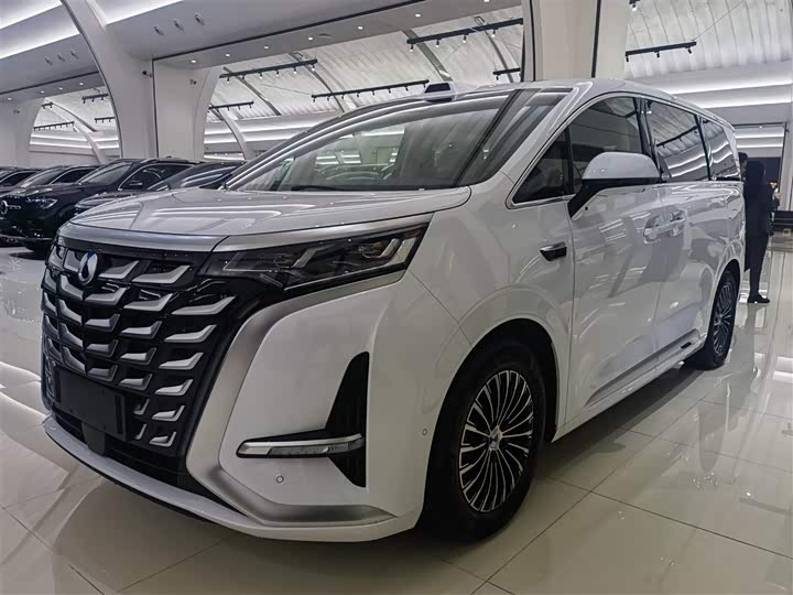 Фото 1 - Denza D9