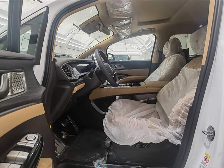 Фото 11 - Denza D9