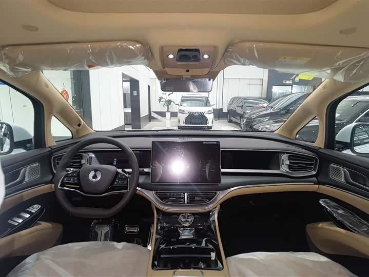 Фото 13 - Denza D9