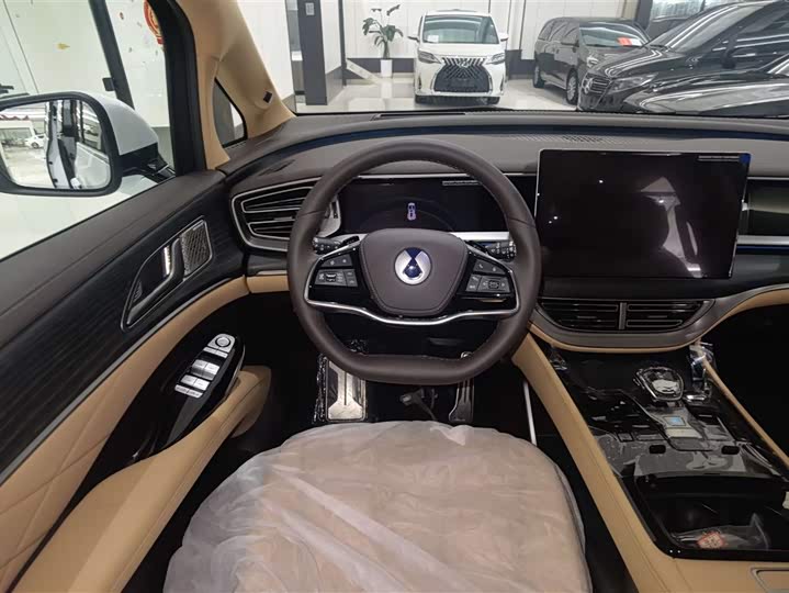 Фото 16 - Denza D9