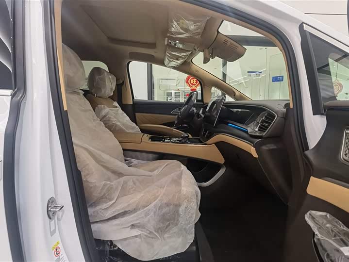 Фото 18 - Denza D9