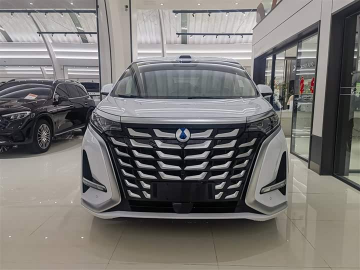 Фото 2 - Denza D9