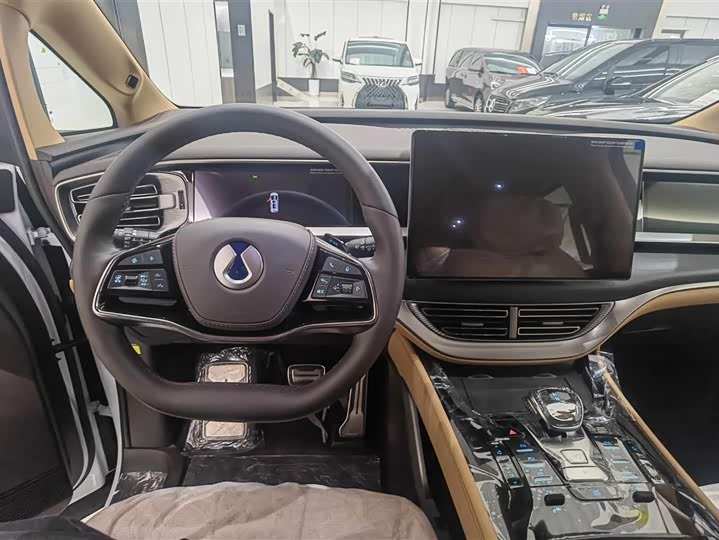 Фото 7 - Denza D9