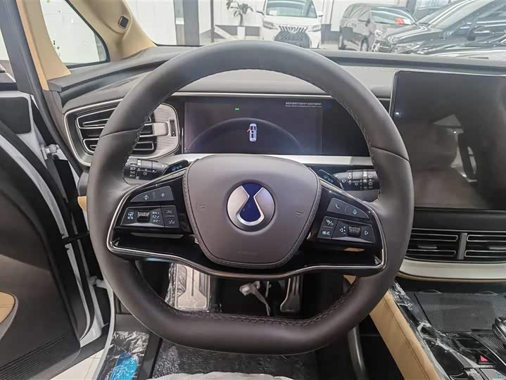 Фото 9 - Denza D9