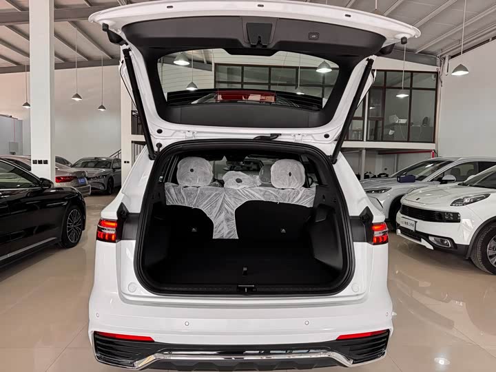 Фото 15 - Geely Monjaro