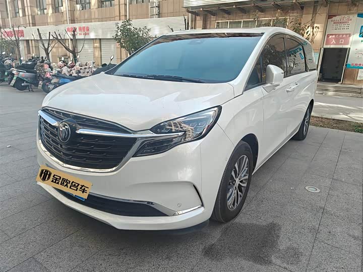 Фото 1 - Buick GL8 ES