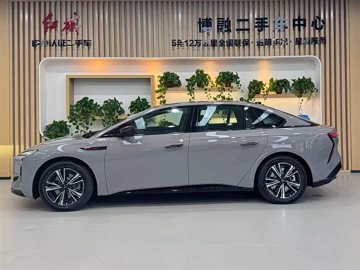 Фото 3 - Hongqi EH7