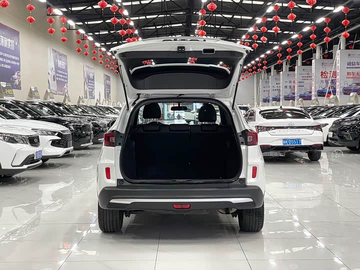 Фото 16 - Honda XR-V