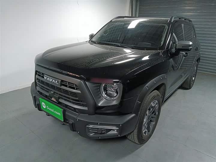 Фото 1 - Haval Dargo