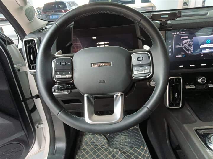 Фото 11 - Haval Dargo