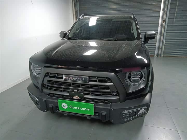 Фото 3 - Haval Dargo