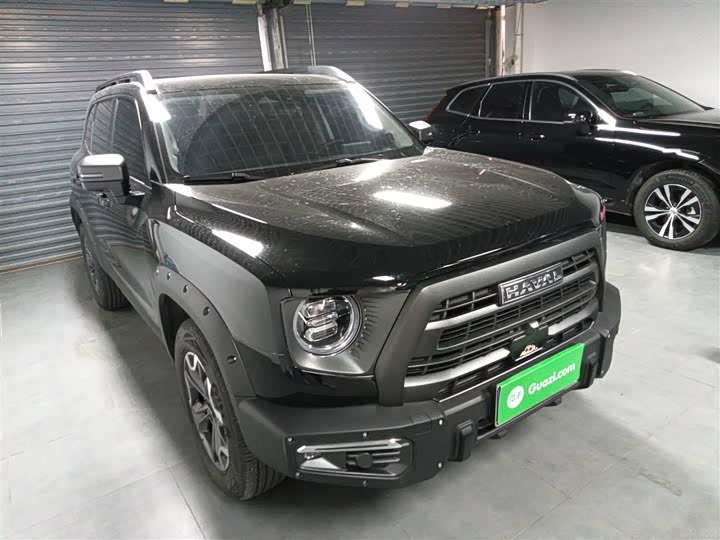 Фото 4 - Haval Dargo