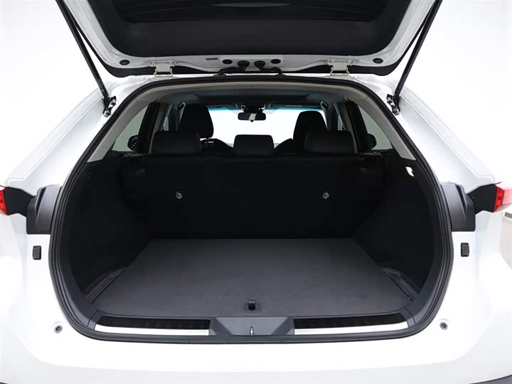 Фото 8 - Toyota Harrier