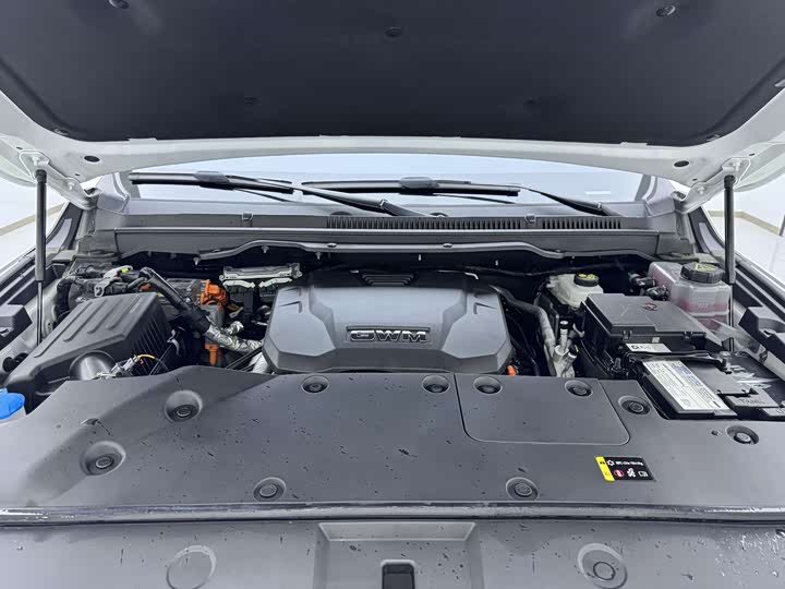 Фото 20 - Tank 500 Hybrid