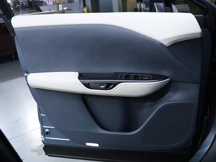 Фото 10 - Lexus RZ