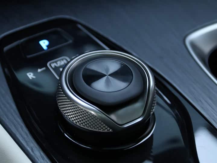 Фото 13 - Lexus RZ