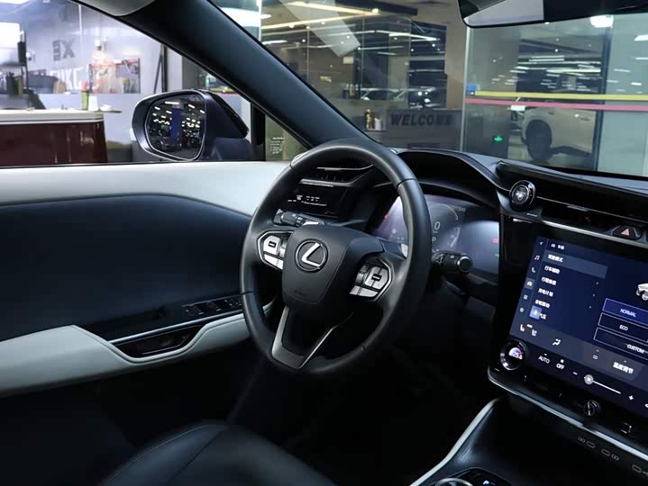Фото 18 - Lexus RZ
