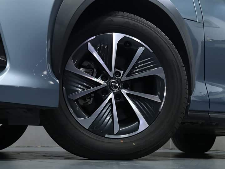 Фото 3 - Lexus RZ