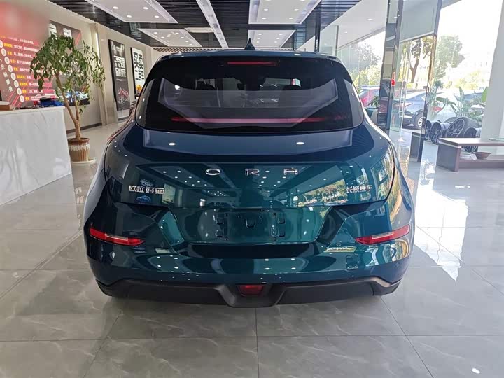 Фото 6 - Ora Good Cat (03)