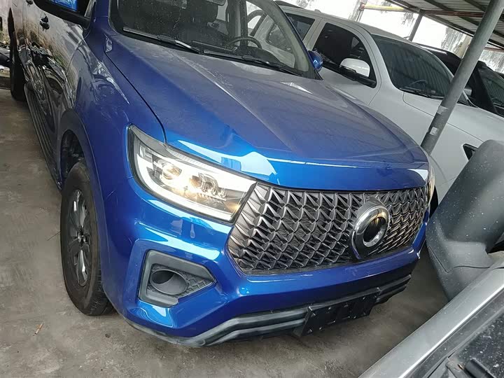 Фото 3 - Great Wall Pao