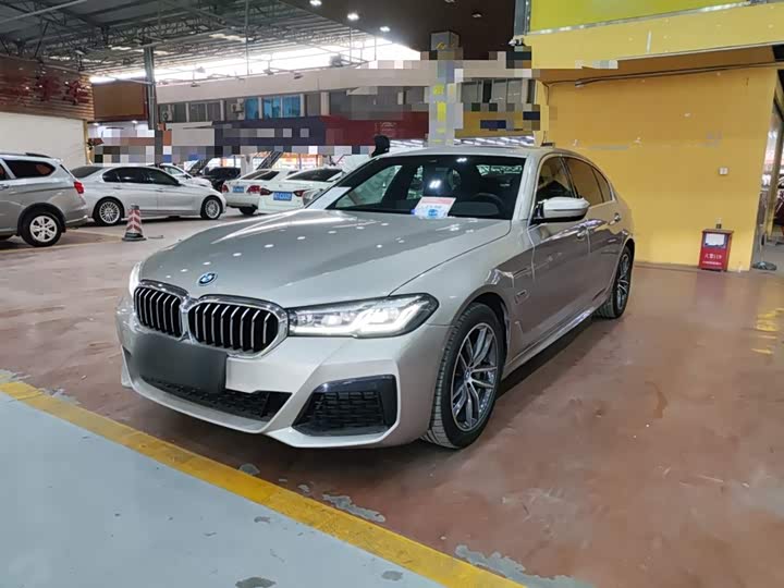 Фото 2 - BMW 5 Series Hybrid