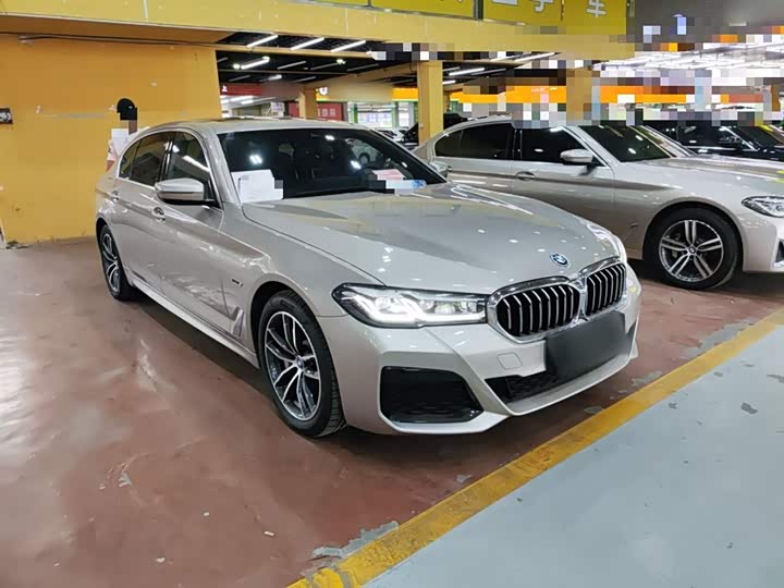 Фото 4 - BMW 5 Series Hybrid