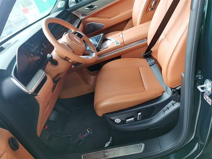 Фото 15 - Wey Lanshan