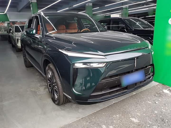 Фото 4 - Wey Lanshan