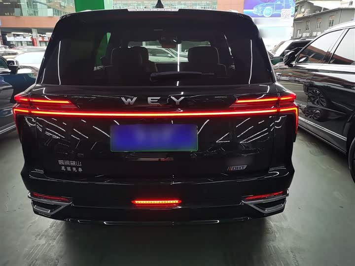 Фото 6 - Wey Lanshan