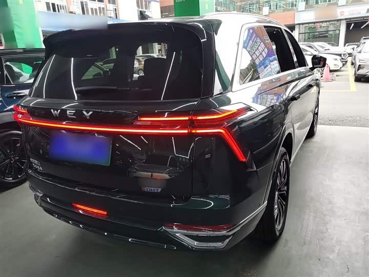 Фото 7 - Wey Lanshan