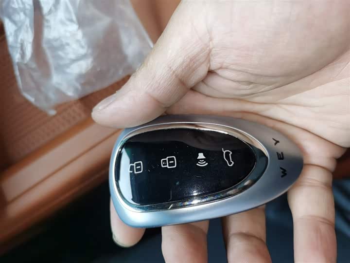 Фото 9 - Wey Lanshan