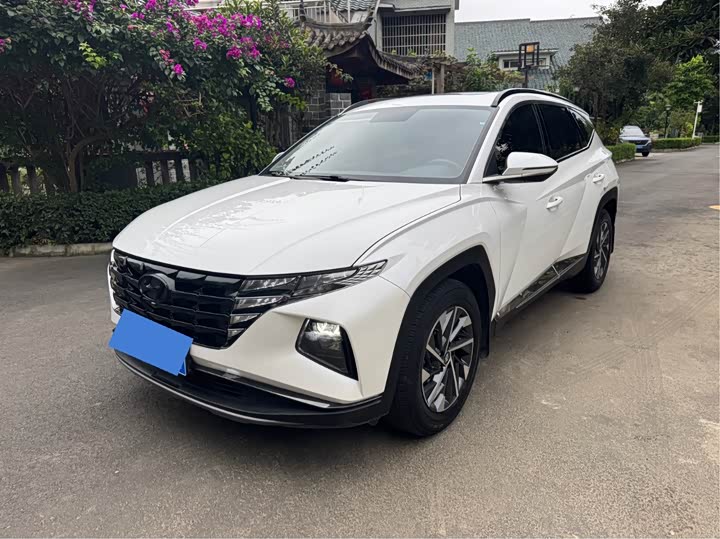 Фото 1 - Hyundai Tucson L