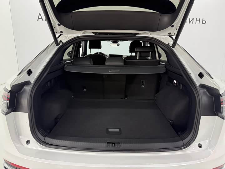 Фото 7 - Volkswagen Tayron X