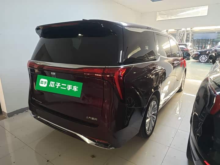 Фото 7 - Buick GL8 Century