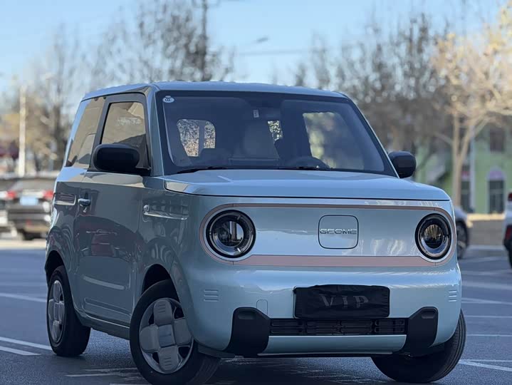 Фото 3 - Geely Galaxy Panda Mini